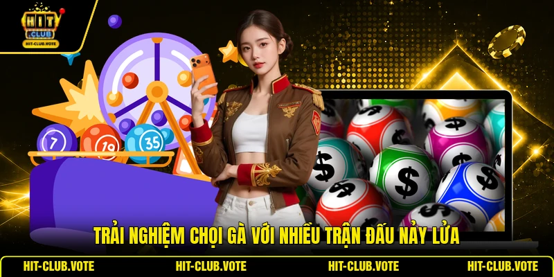 Trải nghiệm chọi gà với nhiều trận đấu nảy lửa